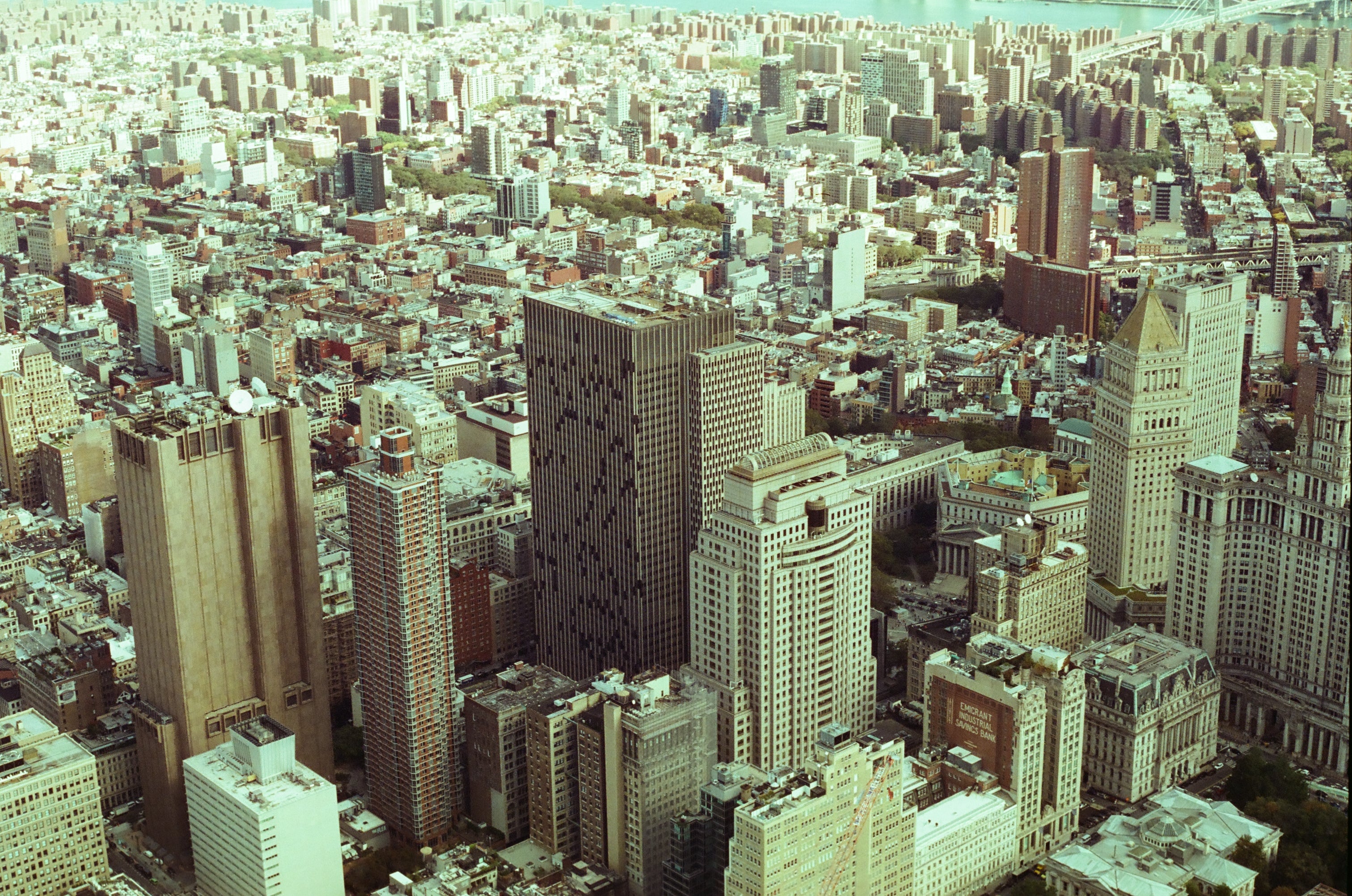 Miniatura 9
